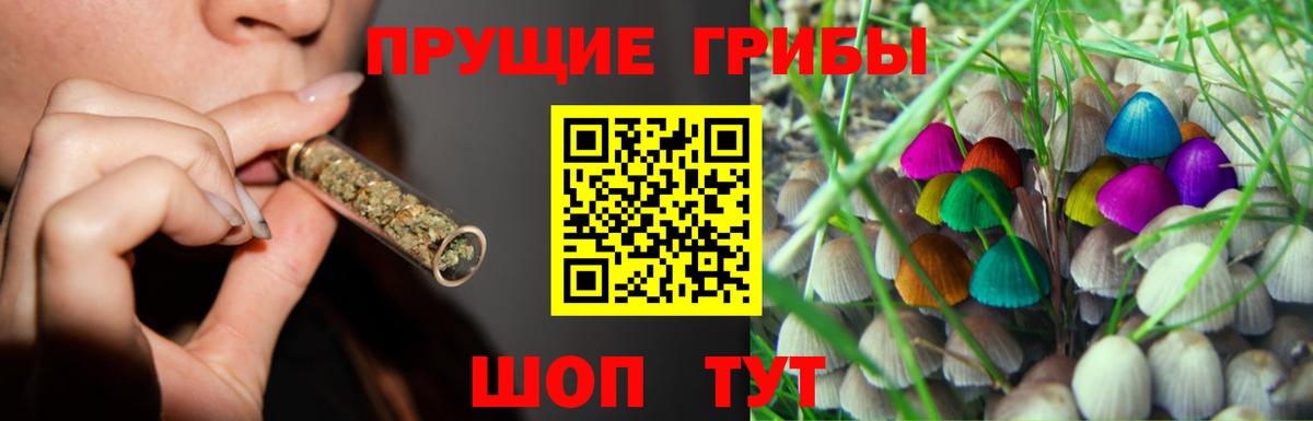 дарнет шоп  Вход с VPN  Горячий Ключ  Псилоцибиновые грибы Cubensis 